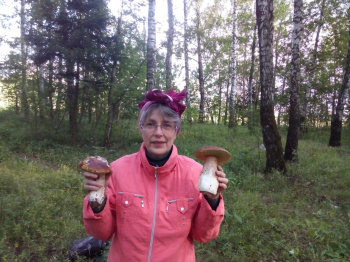 Первые грибы 
